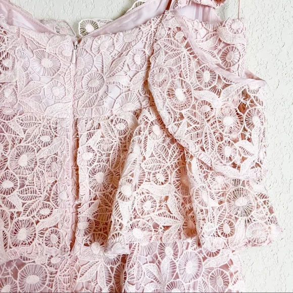 Amur Hayden Lace Midi Dress Blush Pink Size 2 NWT - Picture 9 of 11